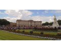 The Buckingham Palace