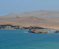 Paracas National Reserve, Peru