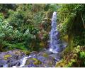 La Amistad International Park, Costa Rica