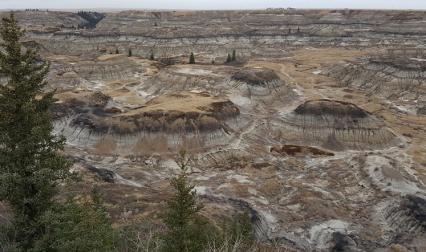 Dinosaur Provincial Park