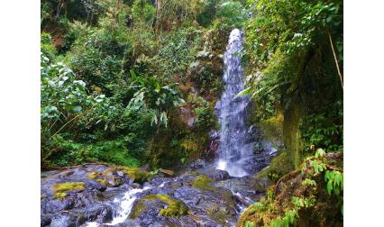 La Amistad International Park, Costa Rica