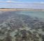 Shark Bay, Australia
