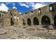 Jertpoint Abbey, Ireland