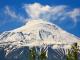 The Mount Ararat