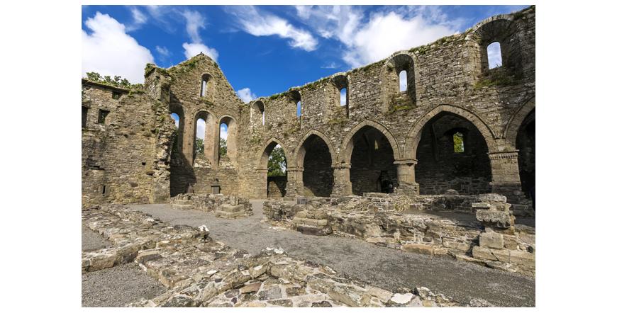 Jertpoint Abbey, Ireland