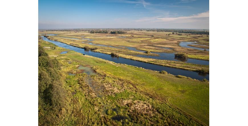 Biebrza Marshes (Biebrza National Park), Poland