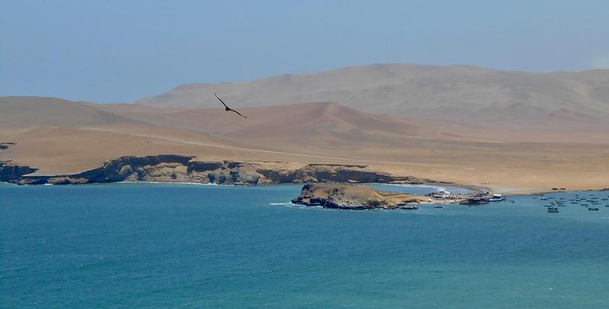 Paracas National Reserve, Peru 